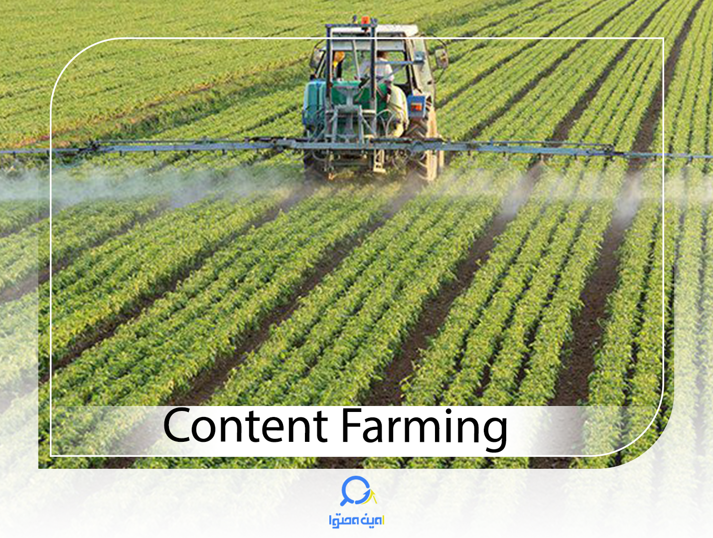 مزرعه محتوا و تاثیرات مخرب آن روی سئو وب‌سایت شما